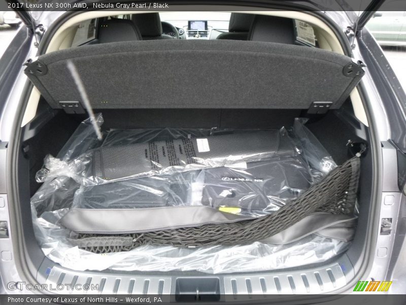 Nebula Gray Pearl / Black 2017 Lexus NX 300h AWD