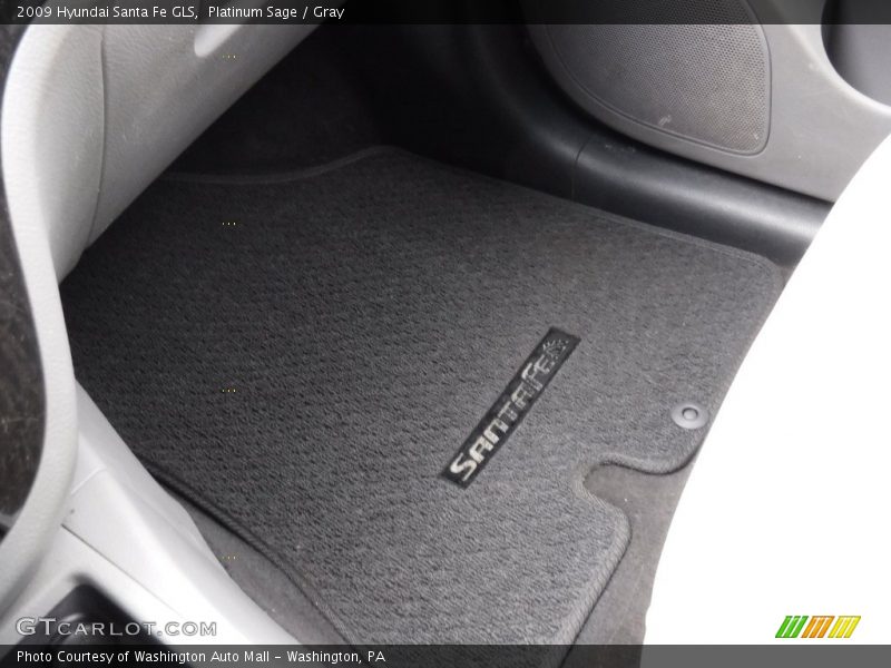 Platinum Sage / Gray 2009 Hyundai Santa Fe GLS