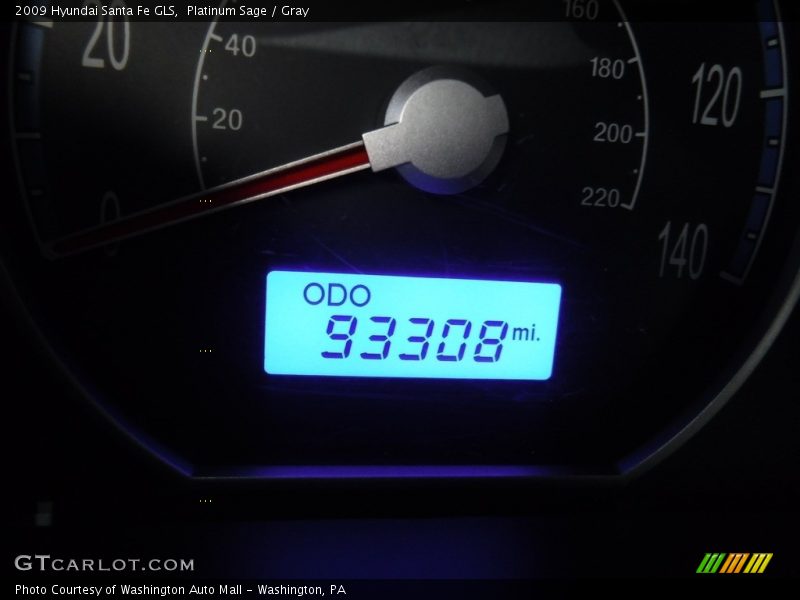 Platinum Sage / Gray 2009 Hyundai Santa Fe GLS