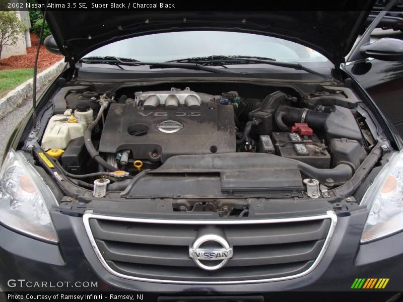 Super Black / Charcoal Black 2002 Nissan Altima 3.5 SE