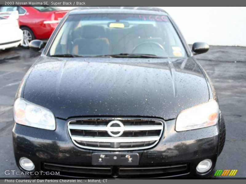 Super Black / Black 2003 Nissan Maxima SE