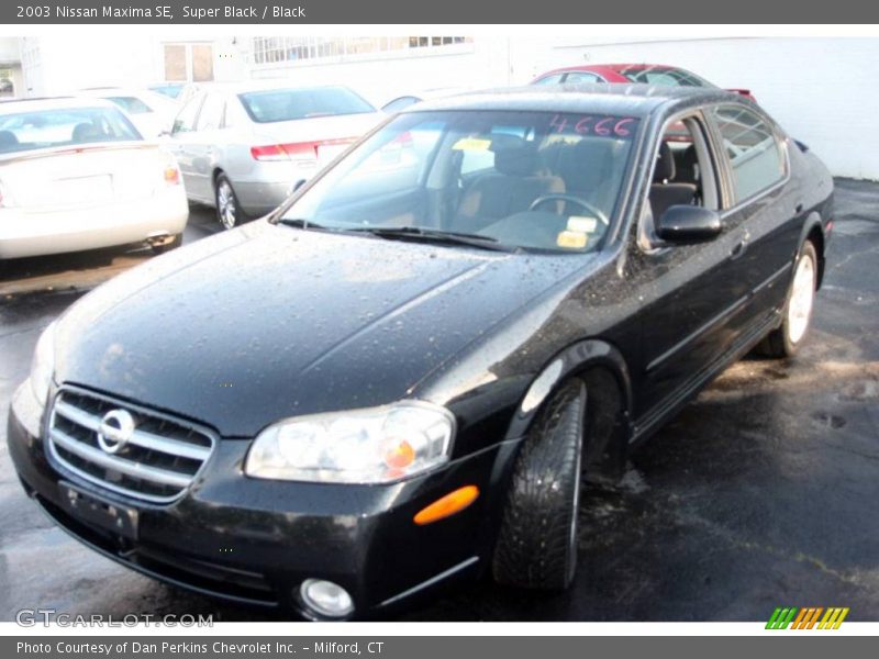 Super Black / Black 2003 Nissan Maxima SE