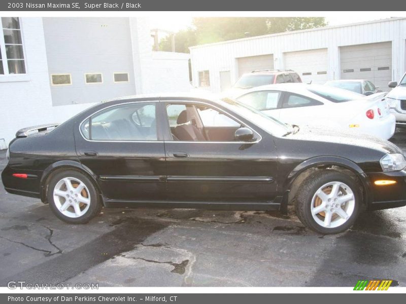 Super Black / Black 2003 Nissan Maxima SE