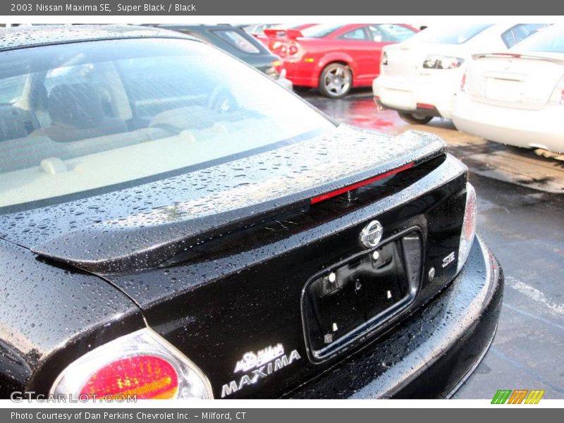 Super Black / Black 2003 Nissan Maxima SE