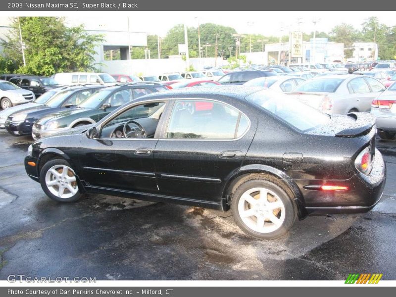 Super Black / Black 2003 Nissan Maxima SE