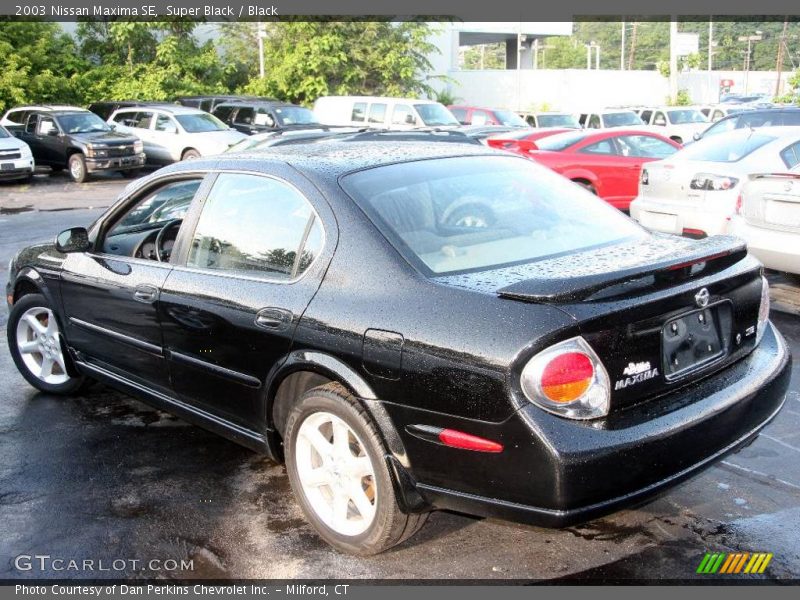 Super Black / Black 2003 Nissan Maxima SE