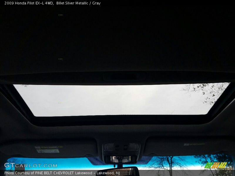 Billet Silver Metallic / Gray 2009 Honda Pilot EX-L 4WD
