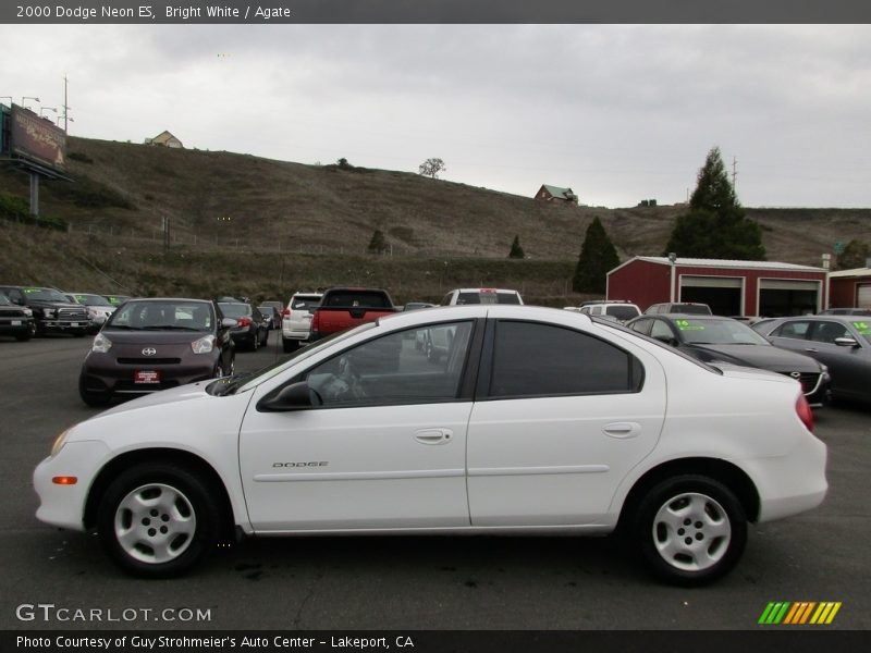 Bright White / Agate 2000 Dodge Neon ES