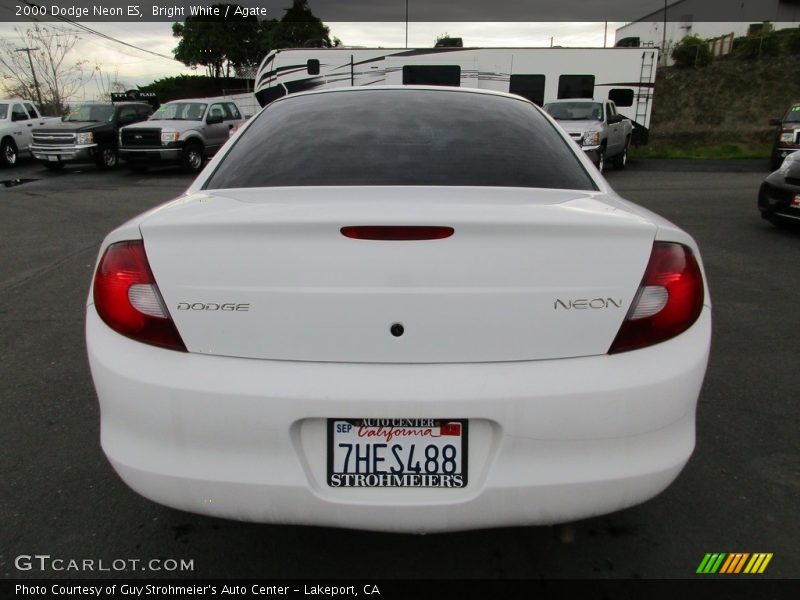 Bright White / Agate 2000 Dodge Neon ES