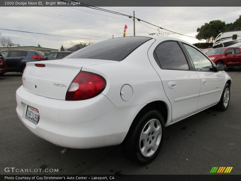 Bright White / Agate 2000 Dodge Neon ES