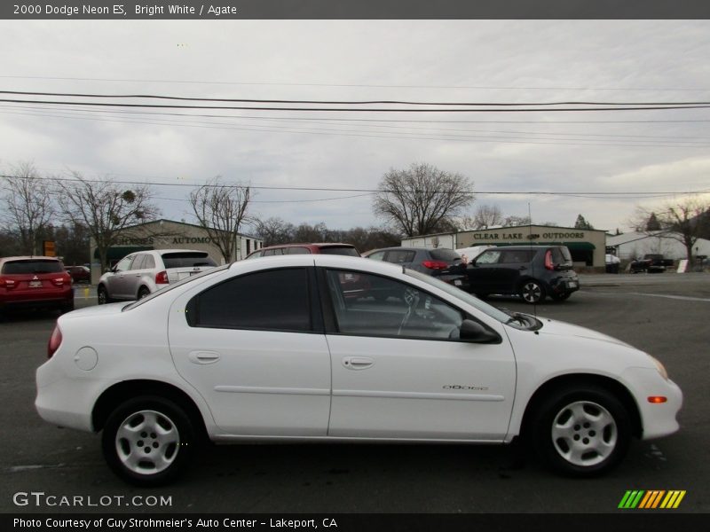 Bright White / Agate 2000 Dodge Neon ES
