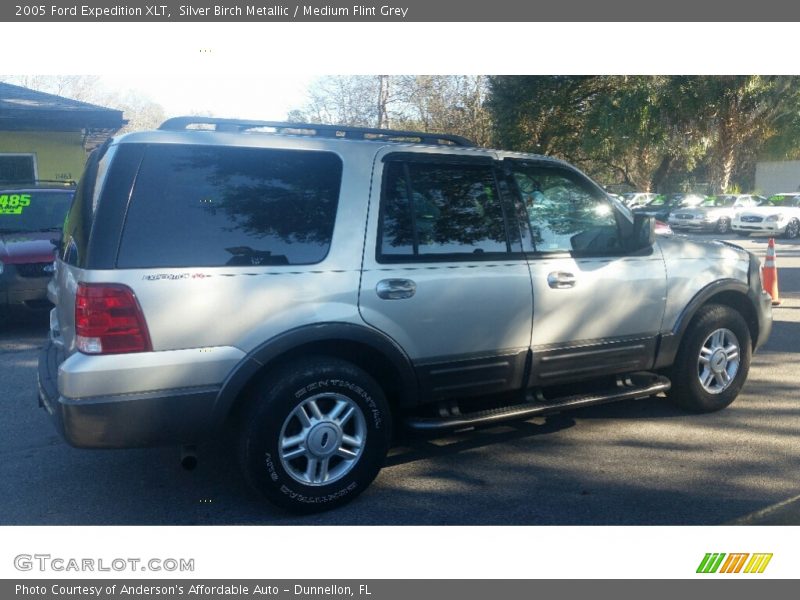 Silver Birch Metallic / Medium Flint Grey 2005 Ford Expedition XLT