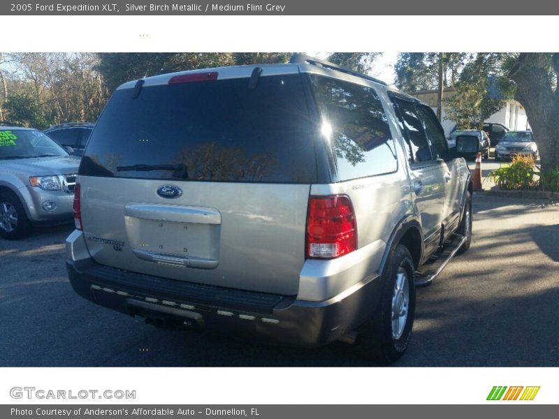 Silver Birch Metallic / Medium Flint Grey 2005 Ford Expedition XLT