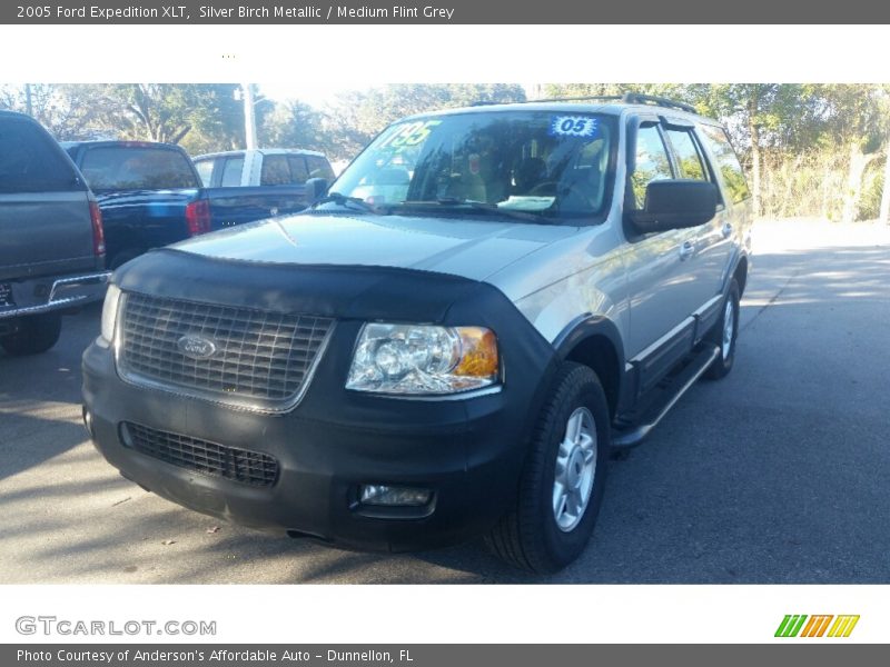 Silver Birch Metallic / Medium Flint Grey 2005 Ford Expedition XLT