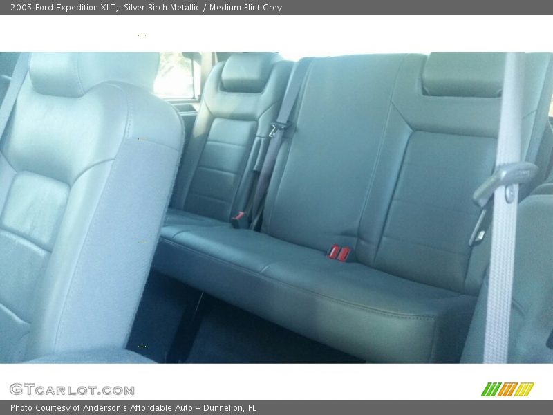 Silver Birch Metallic / Medium Flint Grey 2005 Ford Expedition XLT