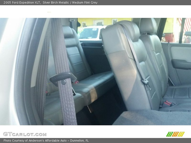 Silver Birch Metallic / Medium Flint Grey 2005 Ford Expedition XLT