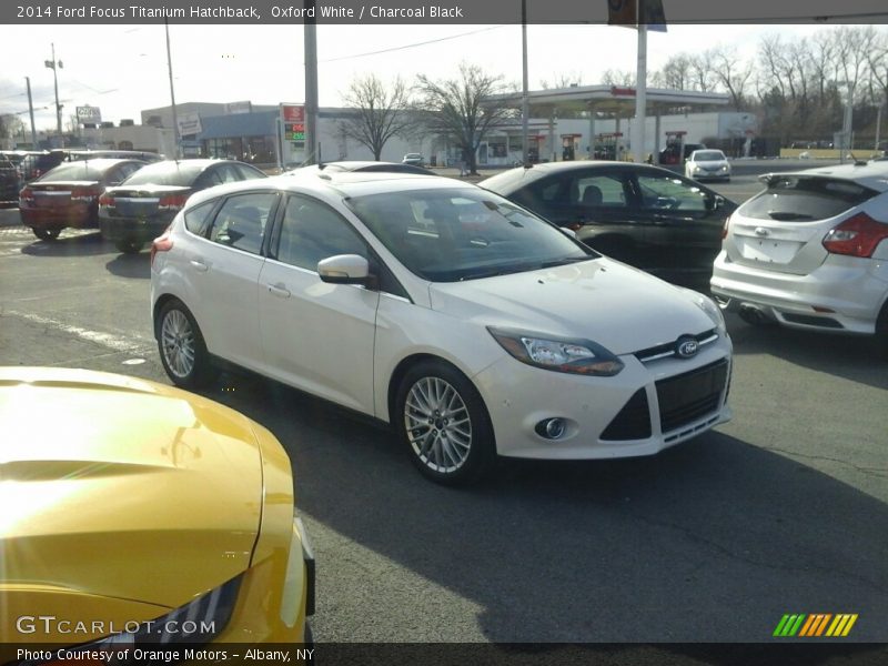 Oxford White / Charcoal Black 2014 Ford Focus Titanium Hatchback