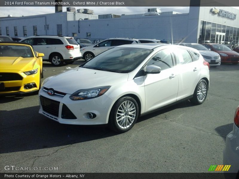 Oxford White / Charcoal Black 2014 Ford Focus Titanium Hatchback