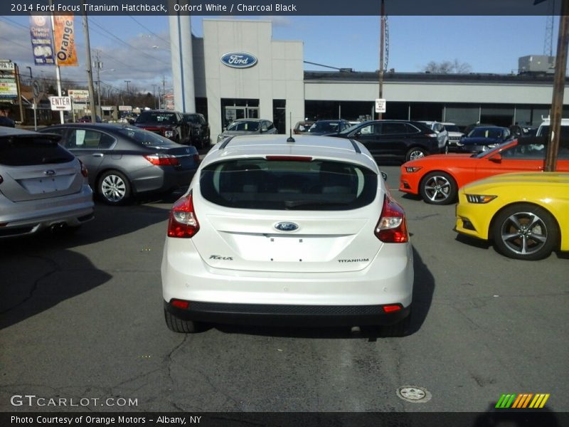 Oxford White / Charcoal Black 2014 Ford Focus Titanium Hatchback
