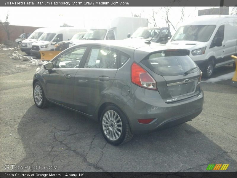 Storm Gray / Medium Light Stone 2014 Ford Fiesta Titanium Hatchback