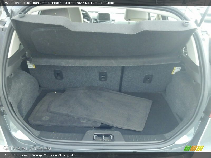 Storm Gray / Medium Light Stone 2014 Ford Fiesta Titanium Hatchback