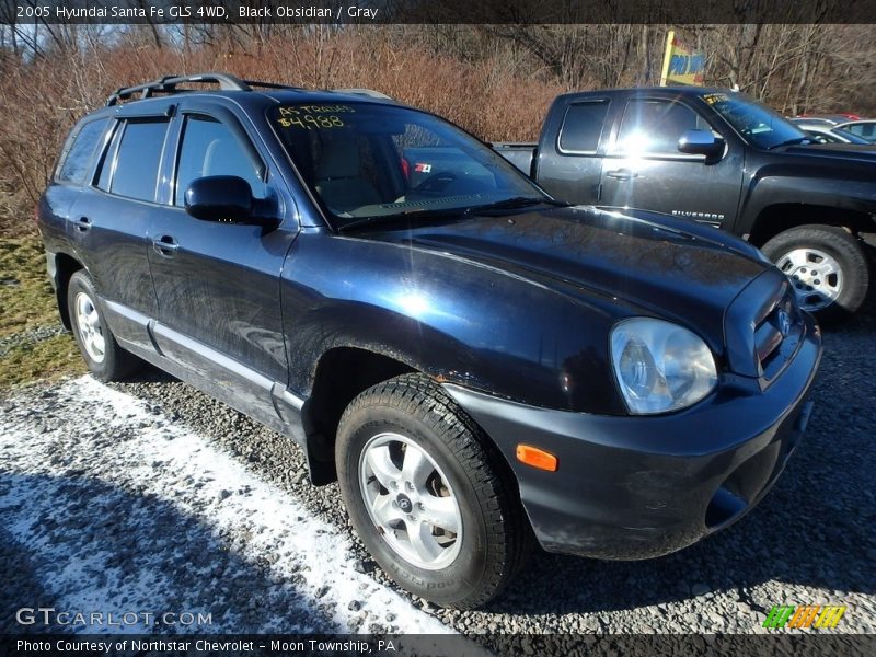 Black Obsidian / Gray 2005 Hyundai Santa Fe GLS 4WD