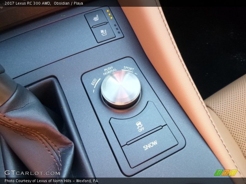 Obsidian / Playa 2017 Lexus RC 300 AWD