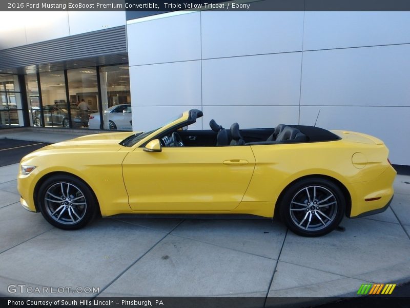 Triple Yellow Tricoat / Ebony 2016 Ford Mustang EcoBoost Premium Convertible