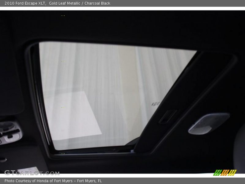 Gold Leaf Metallic / Charcoal Black 2010 Ford Escape XLT
