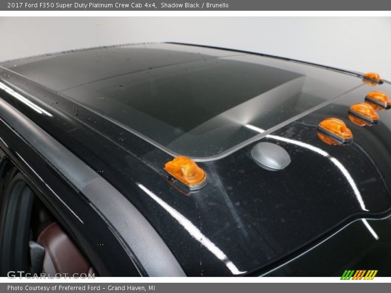 Shadow Black / Brunello 2017 Ford F350 Super Duty Platinum Crew Cab 4x4