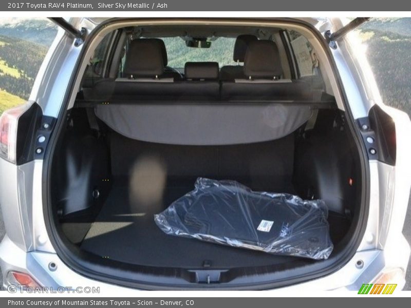 Silver Sky Metallic / Ash 2017 Toyota RAV4 Platinum