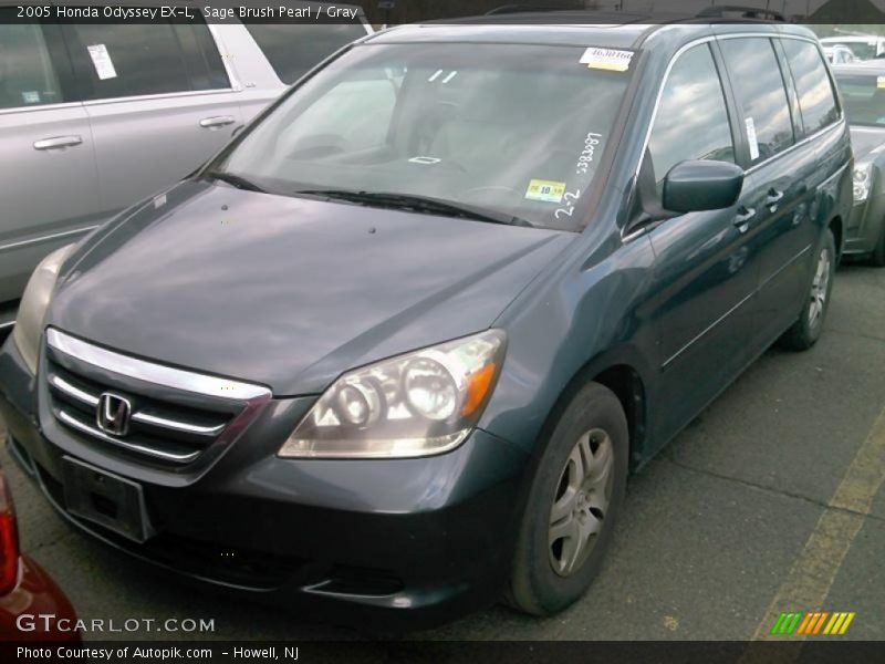 Sage Brush Pearl / Gray 2005 Honda Odyssey EX-L