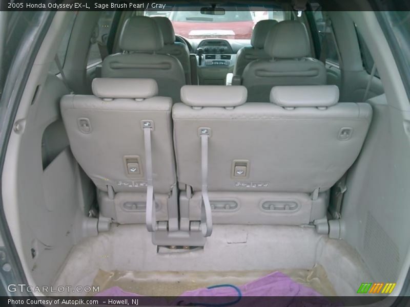 Sage Brush Pearl / Gray 2005 Honda Odyssey EX-L