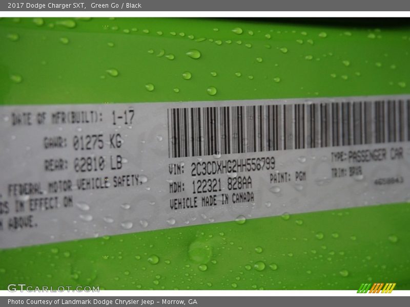 Green Go / Black 2017 Dodge Charger SXT