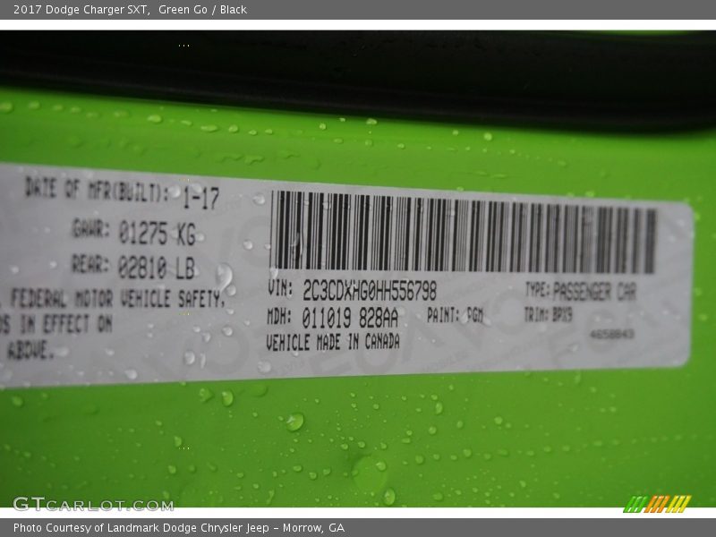 2017 Charger SXT Green Go Color Code PGM