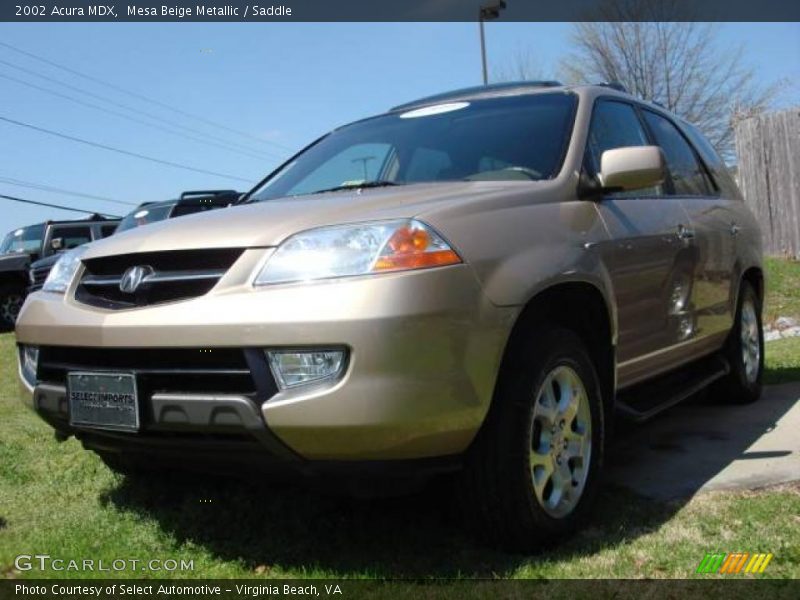 Mesa Beige Metallic / Saddle 2002 Acura MDX