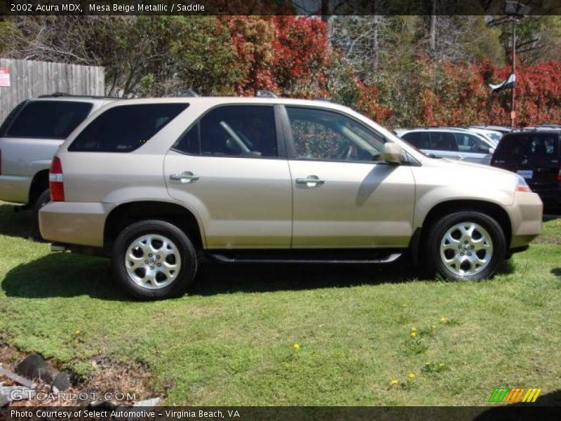 Mesa Beige Metallic / Saddle 2002 Acura MDX