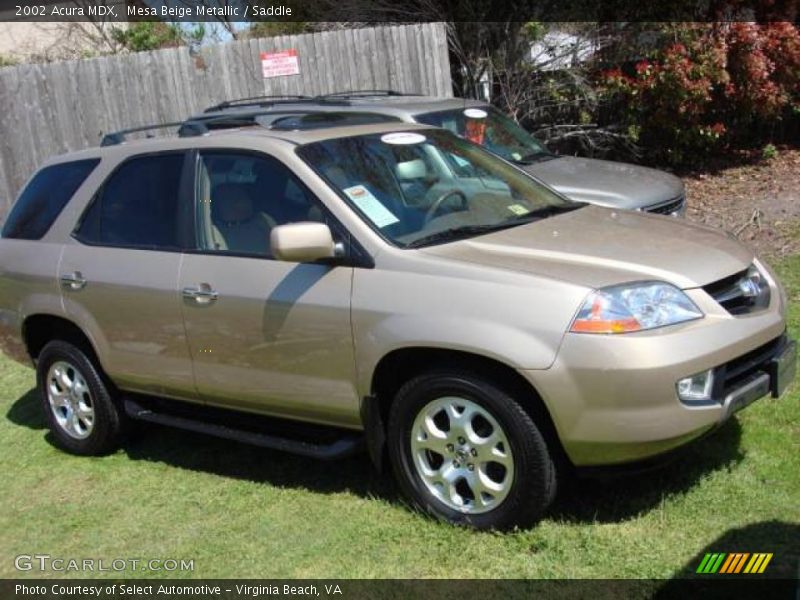 Mesa Beige Metallic / Saddle 2002 Acura MDX
