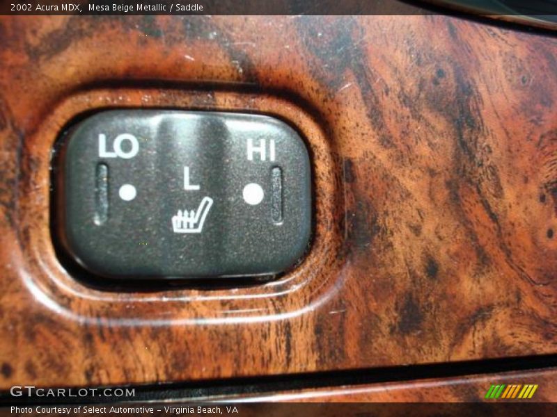 Mesa Beige Metallic / Saddle 2002 Acura MDX
