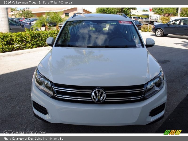 Pure White / Charcoal 2016 Volkswagen Tiguan S