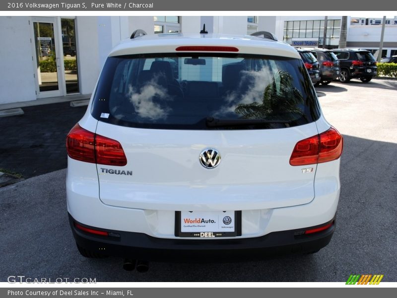 Pure White / Charcoal 2016 Volkswagen Tiguan S