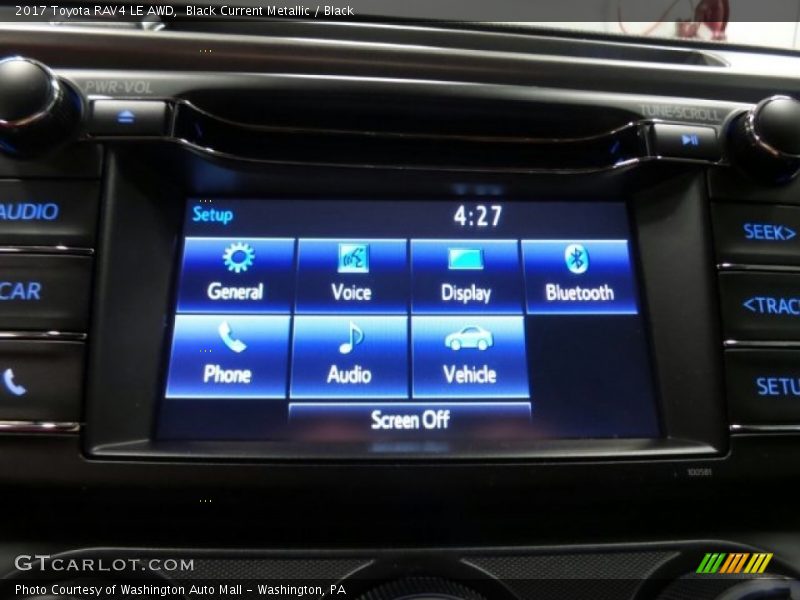 Black Current Metallic / Black 2017 Toyota RAV4 LE AWD