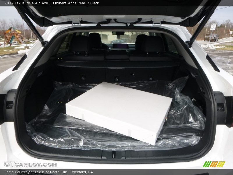  2017 RX 450h AWD Trunk