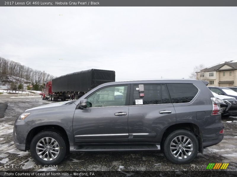 Nebula Gray Pearl / Black 2017 Lexus GX 460 Luxury