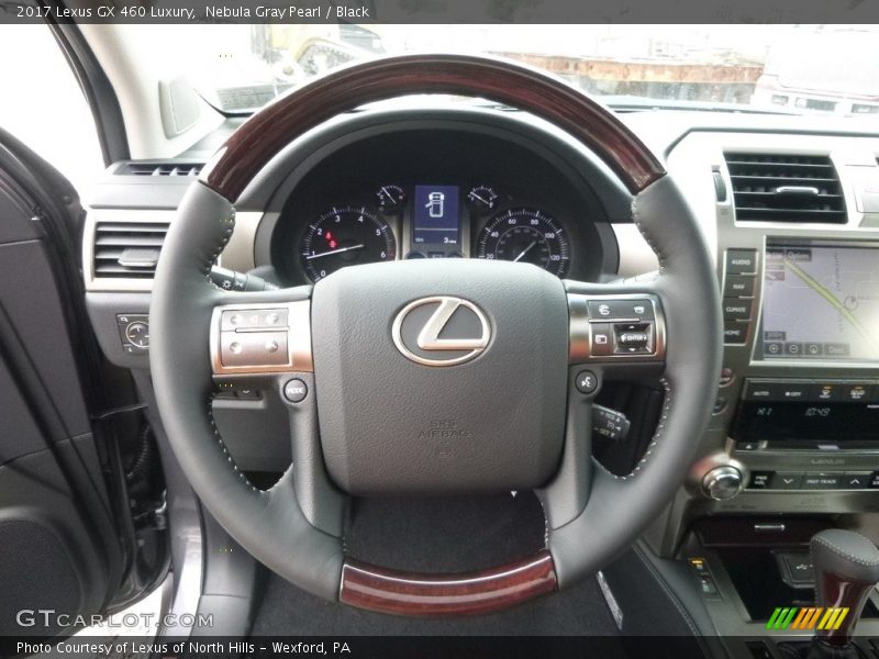  2017 GX 460 Luxury Steering Wheel