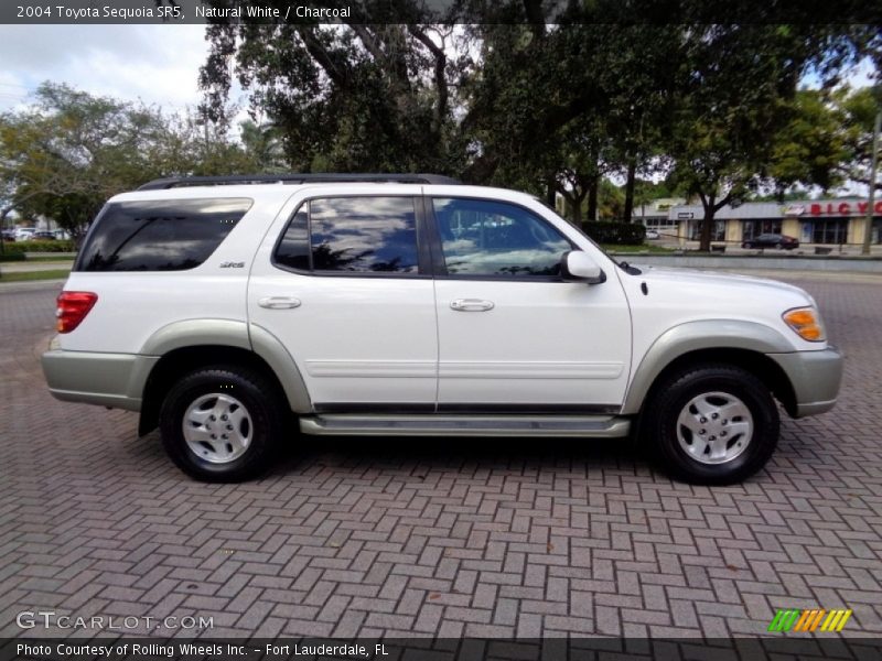 Natural White / Charcoal 2004 Toyota Sequoia SR5