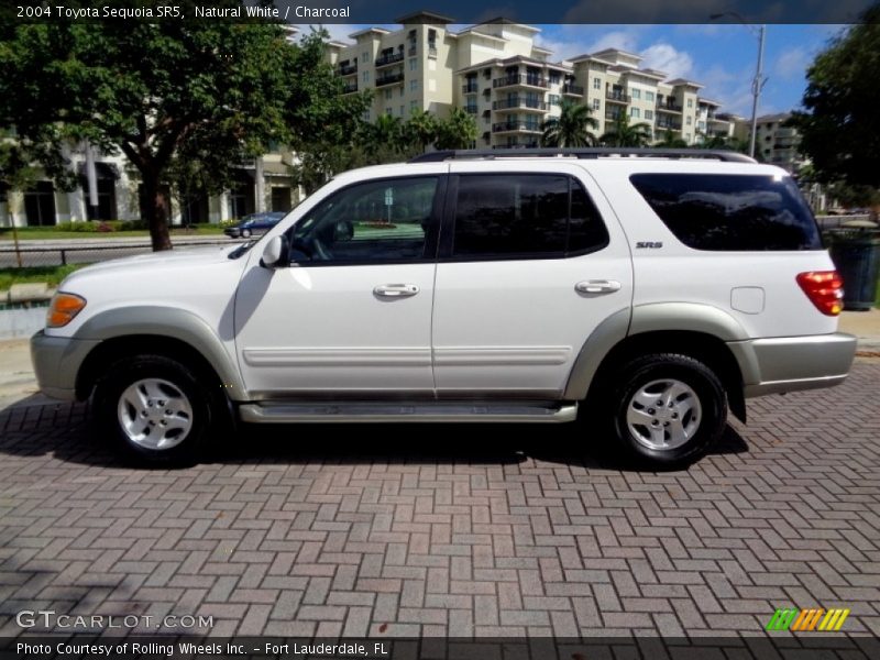  2004 Sequoia SR5 Natural White