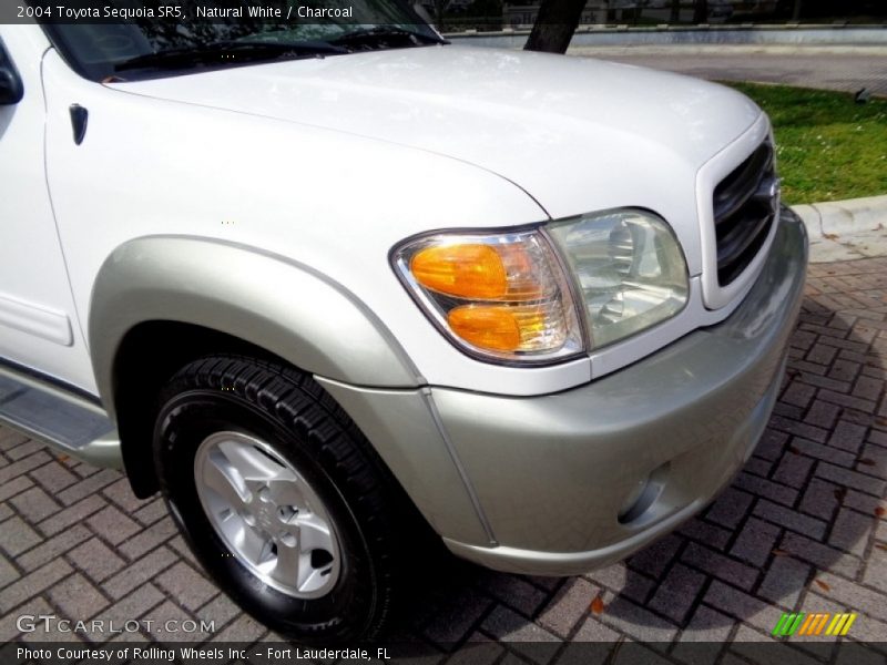 Natural White / Charcoal 2004 Toyota Sequoia SR5