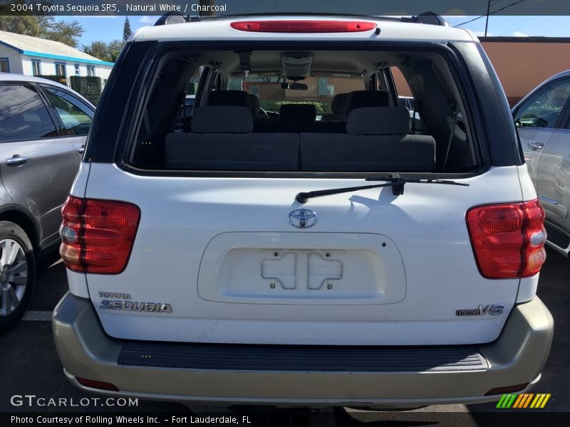 Natural White / Charcoal 2004 Toyota Sequoia SR5