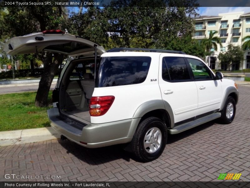 Natural White / Charcoal 2004 Toyota Sequoia SR5